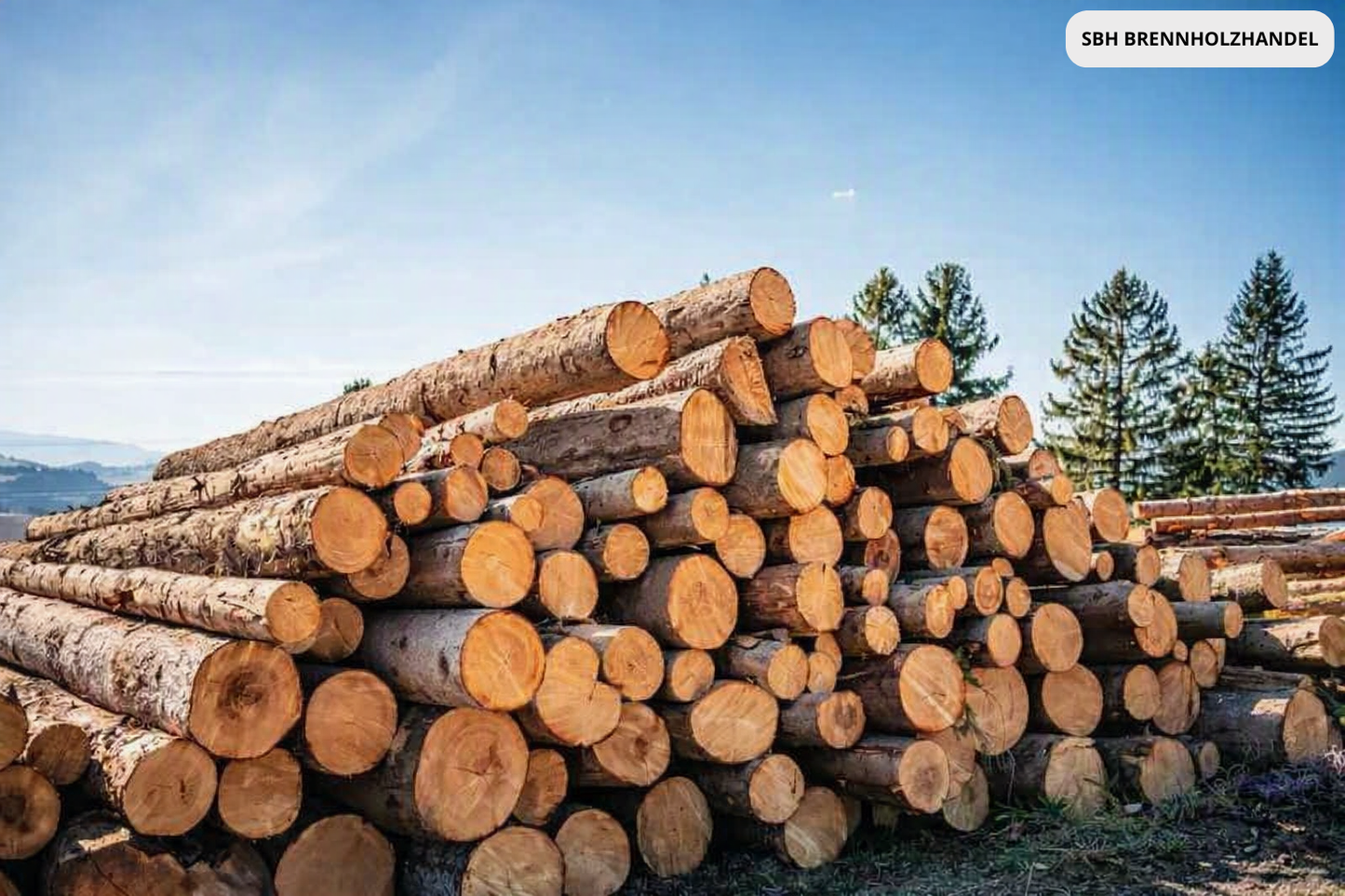 Stammholz Nadelholz – Flexible LKW‑Ladung (20–40 RM)